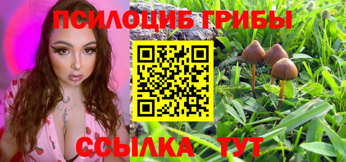 Галлюциногенные грибы Psilocybine cubensis  Вход с VPN  Галлюциногенные грибы MAGIC MUSHROOMS  Арсеньев 